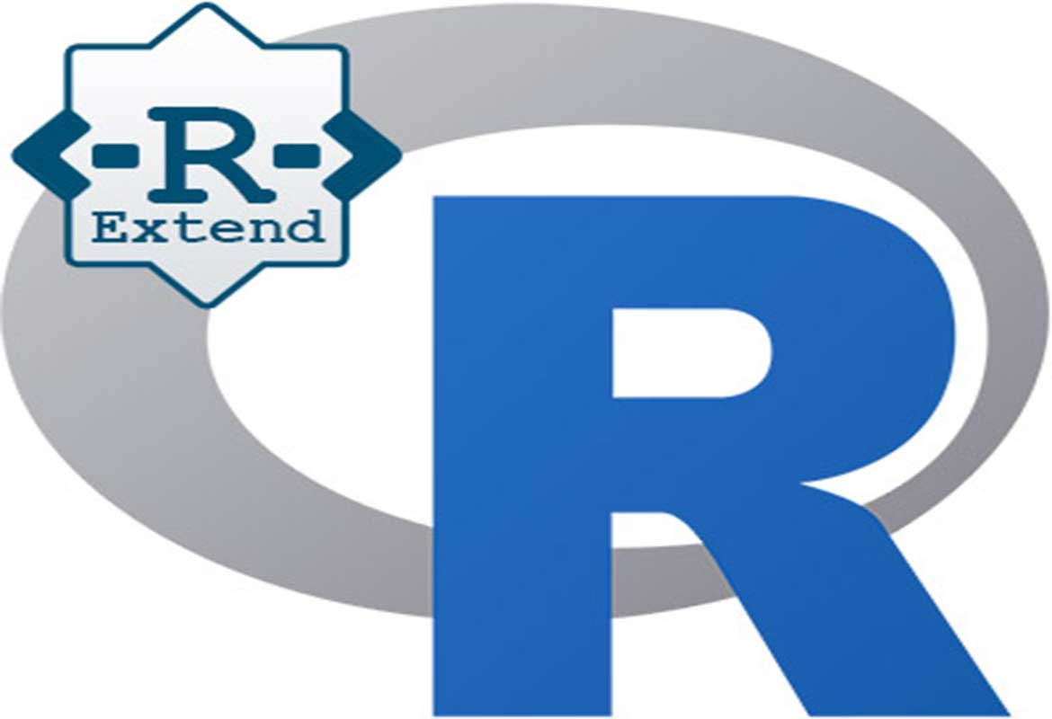 R Extend Project