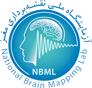 National Brain Mapping Lab