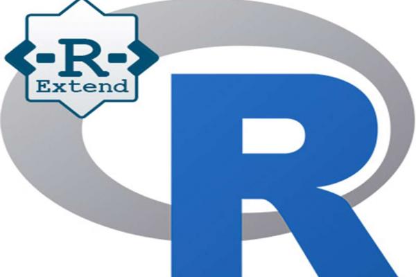 R Extend Project