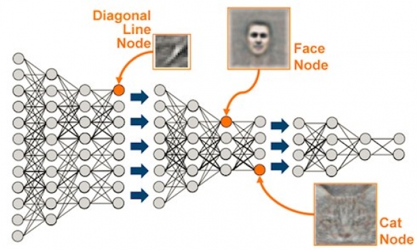 Learning About Deep Learning